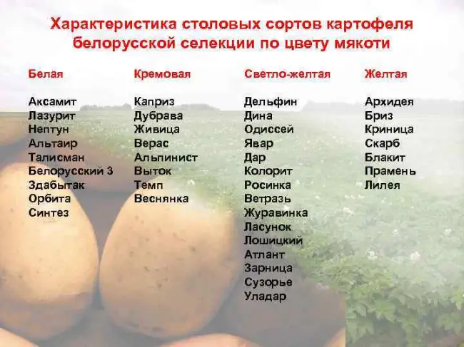 Сорт картофеля «Живица»
