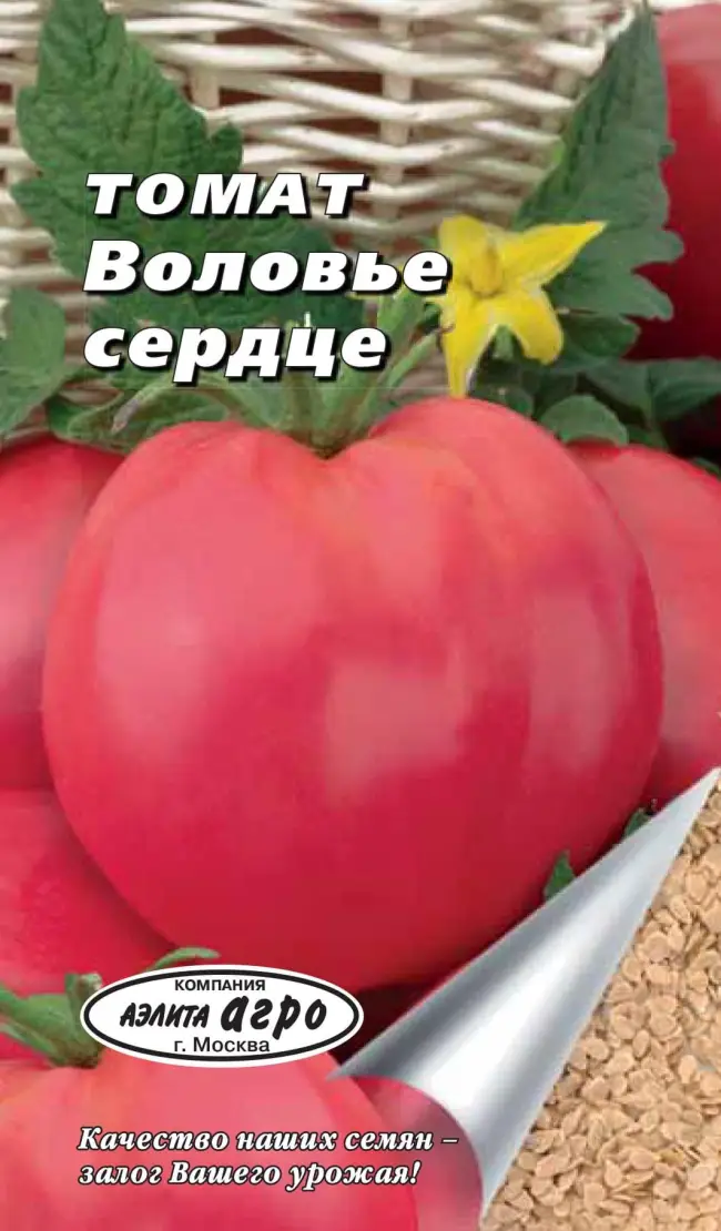 Стоит ли сажать томат Воловье сердце, плюсы и минусы сорта
