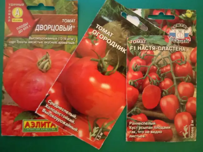 Маленькие помидоры с сахарным вкусом — томат F1 «Настя Сластена»