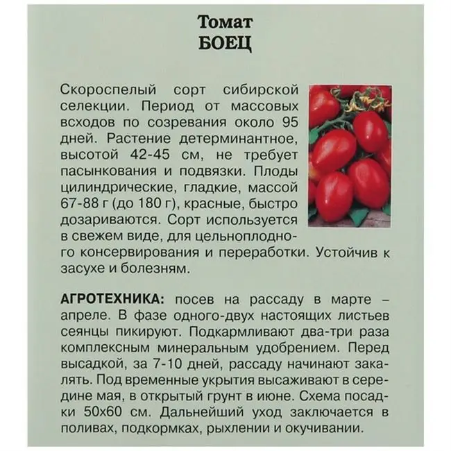 Сорт помидоров петр 1 описание фото
