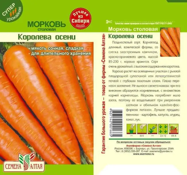 Морковь Детская сладость: описание и характеристики сорта, правила посадки и выращивания