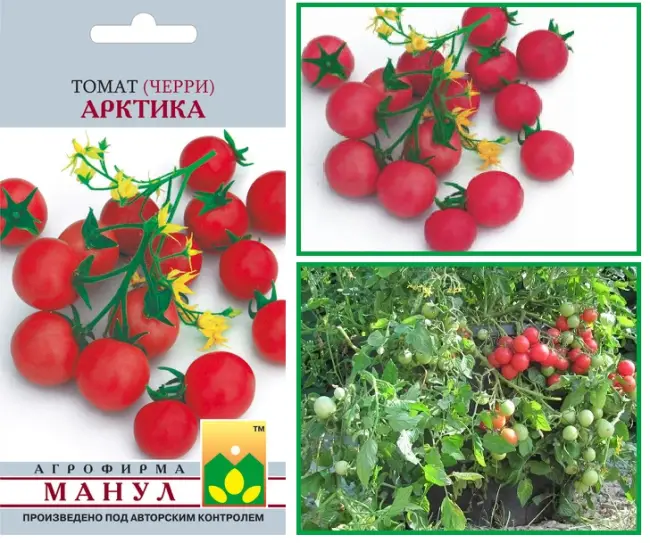 Крымская роза — оригинальный сорт томатов грушевидной формы. Рекомендован для теплиц. Высокорослая культура обладает рядом достоинств и недостатков.