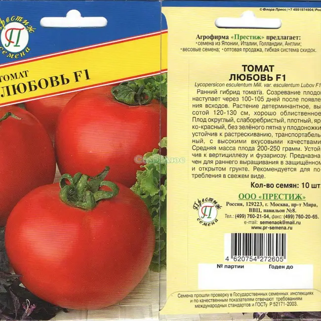 Подарок голландских селекционеров — сорт томатов «Бенито F1» и их описание