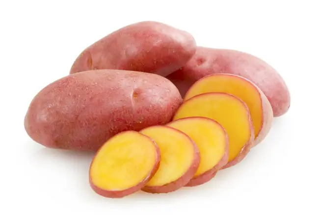 Описание и характеристика картофеля «Ред Соня». Отзывы дачников о сорте, фото, урожайность.