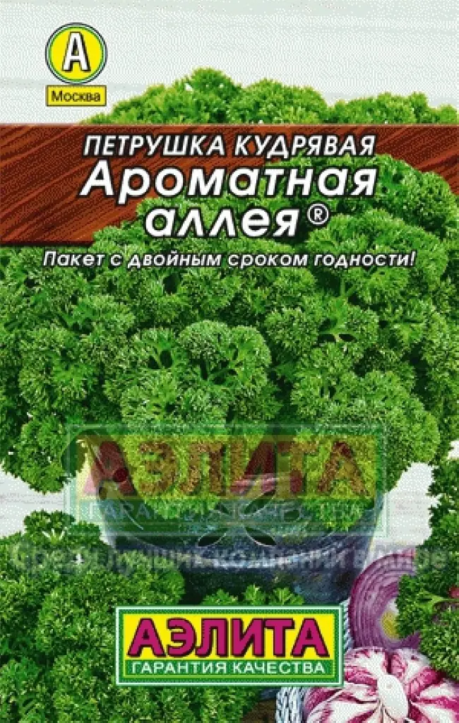 петрушка Ароматная аллея листовая фото, характеристики, описание, семена