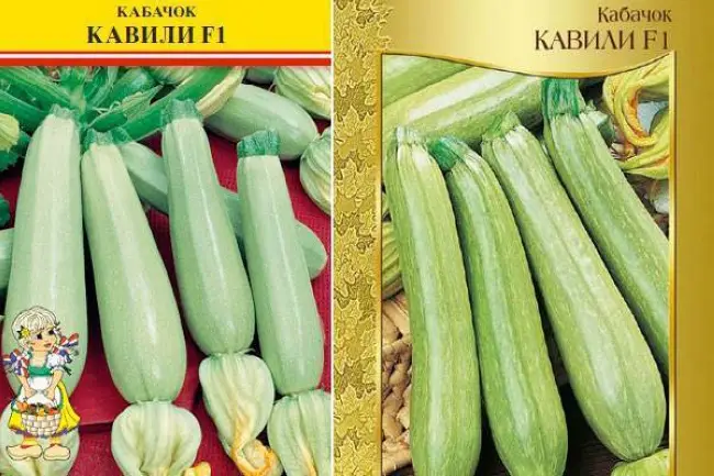 Кабачок Сцилли F1 – фото урожая, цены, отзывы и особенности выращивания