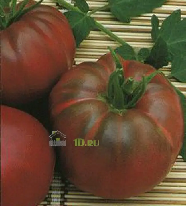 Один из черноплодных сортов, который уже опробовали некоторые дачники – томат «Негритенок». Некоторые отзывы об этом интересном томате и его фото заинтересую…