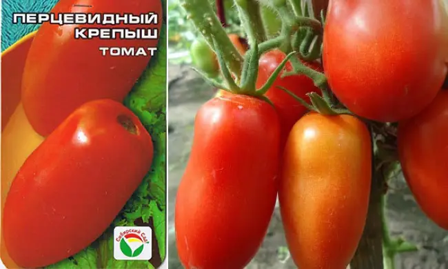 Какие особенности и преимущества имеет томат перцевидный. Его сорта. Как вырастить томат на грядках. Где лучше применять: в консервации или для салатов.