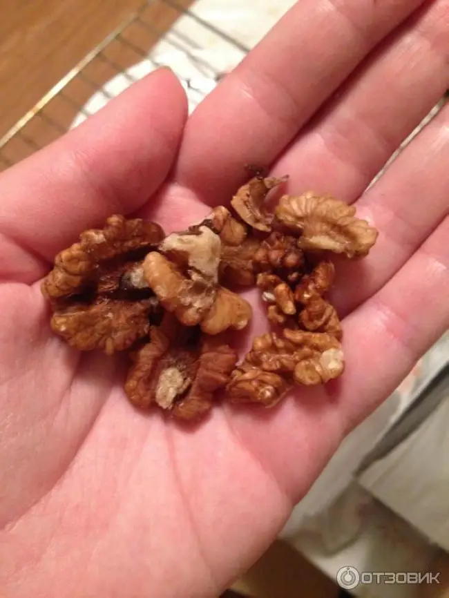 Червяки на грецком орехе – Моль в грецких орехах: что делать и как избавиться от ореховой моли?