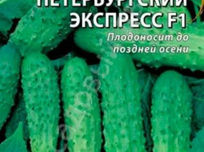 Огурцы Петербургский экспресс f1: отзывы, описание сорта и фотографии, выращивание и уход, опыление