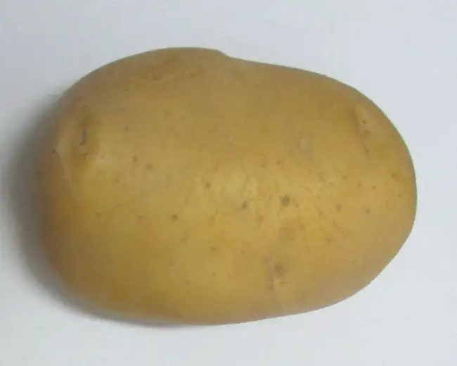 Картофель Инара
