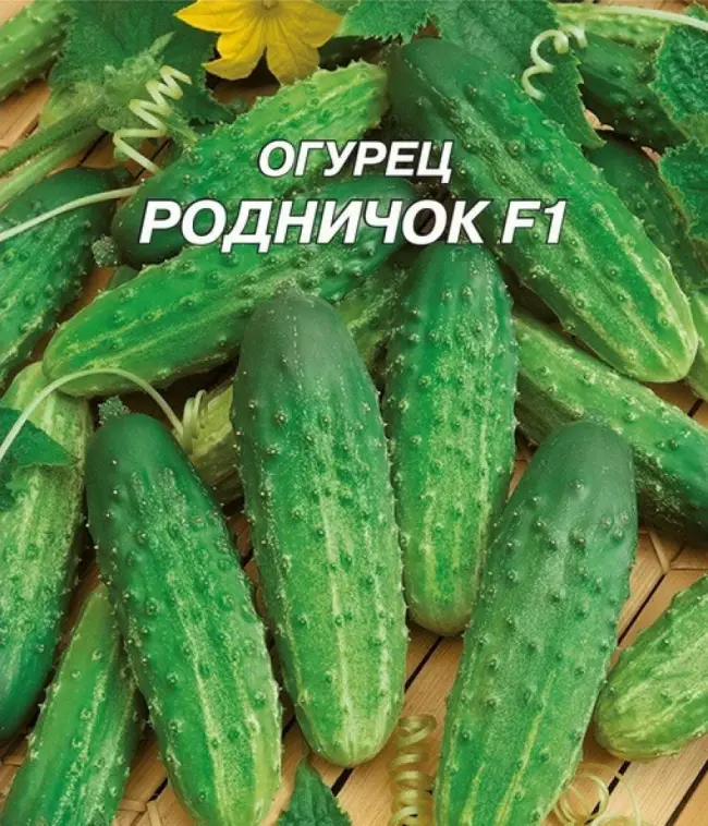 Семена огурец Котор F1 (10 семян) - Агрофирма Семко