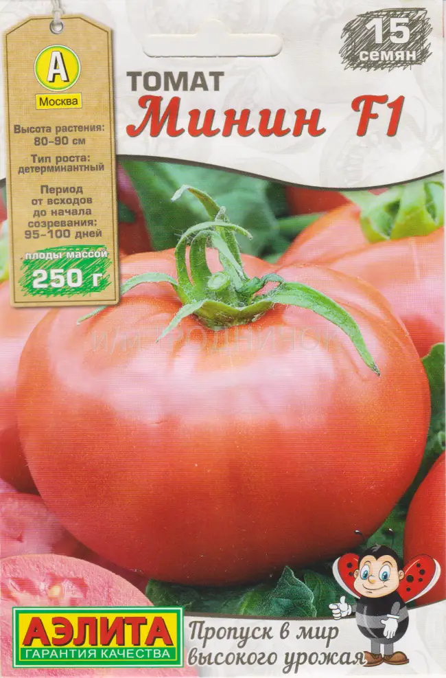 Томат Минин F1 – фото урожая, цены, отзывы и особенности выращивания
