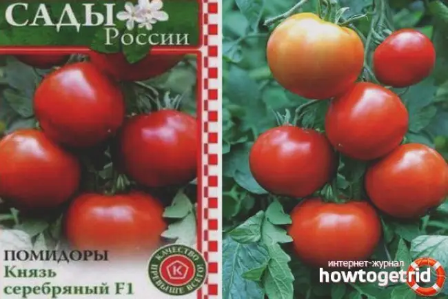 Описание сорта томата Князь серебряный, особенности выращивания и ухода — Дачные дела