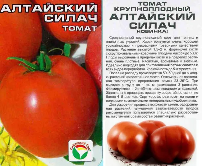 Томат Максеза: описание сорта и характеристика, отзывы об урожайности помидоров, фото семян