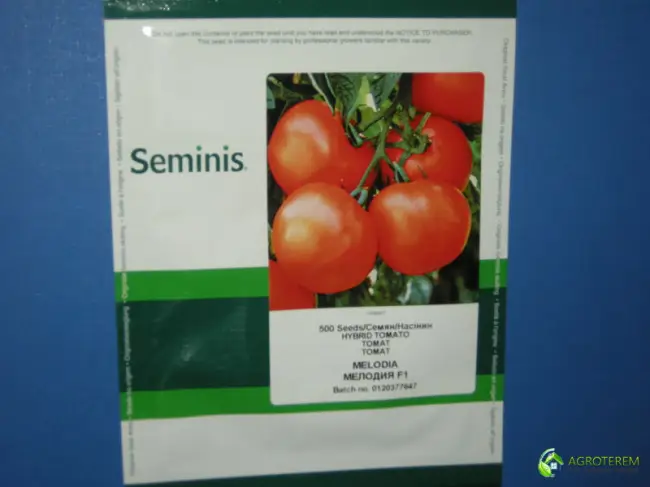 Томат Мелодия F1: отзывы, описание сорта помидоров с фото