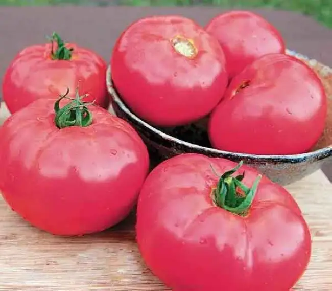 Томат сердечный описание сорта – Сердцевидные томаты: сорта и гибриды, описание, фото