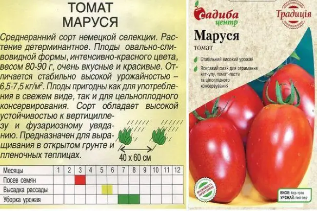 Краткое описание томата Синичка и выращивание в домашних условиях
