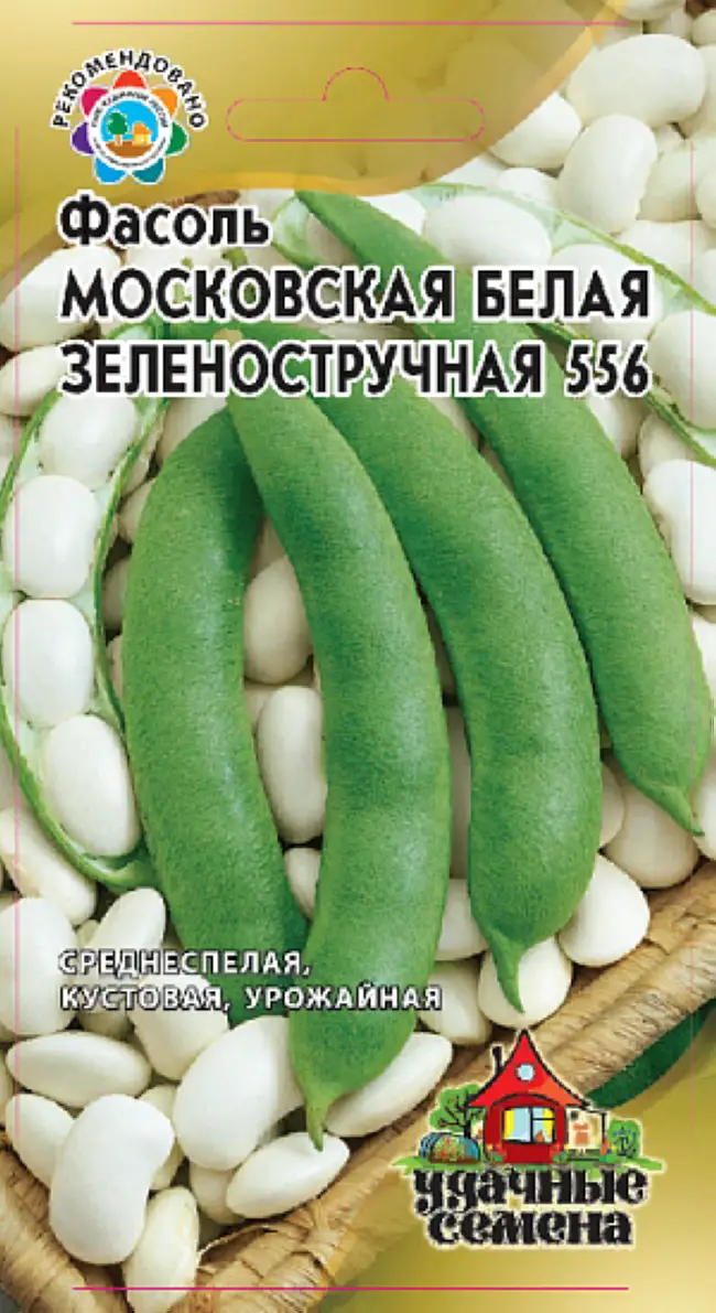 фасоль московская белая зеленостручная 556: отзывы, характеристика сорта, фото