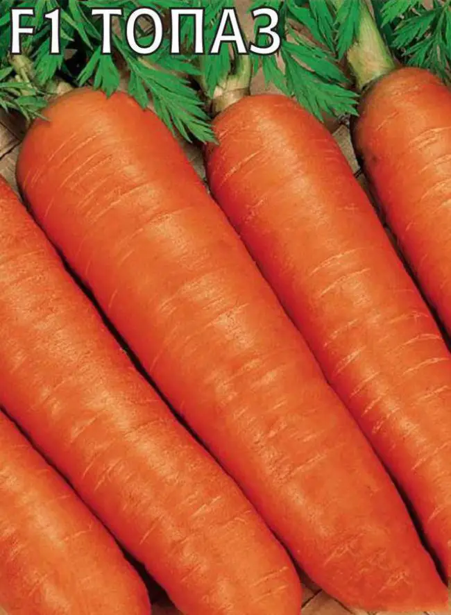 Морковь Ромоса: характеристика и особенности выращивания сорта