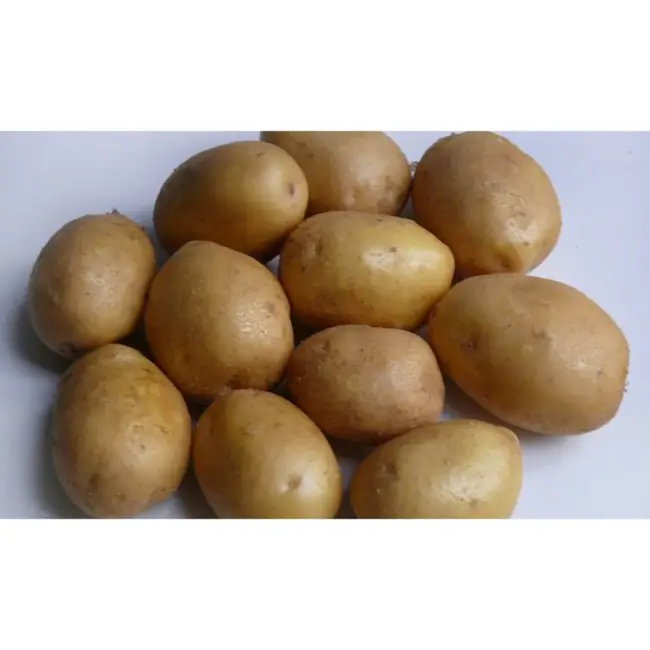 Картофель Наяда