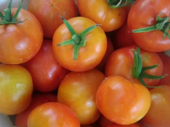 Семена томатов F1 Калаш