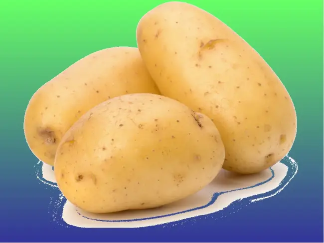 Новые сорта на рынке картофеля – ГРАНД и РЭЙНБОУ
