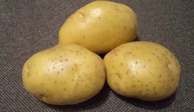 Сорт картофеля «Диво» – описание и фото
