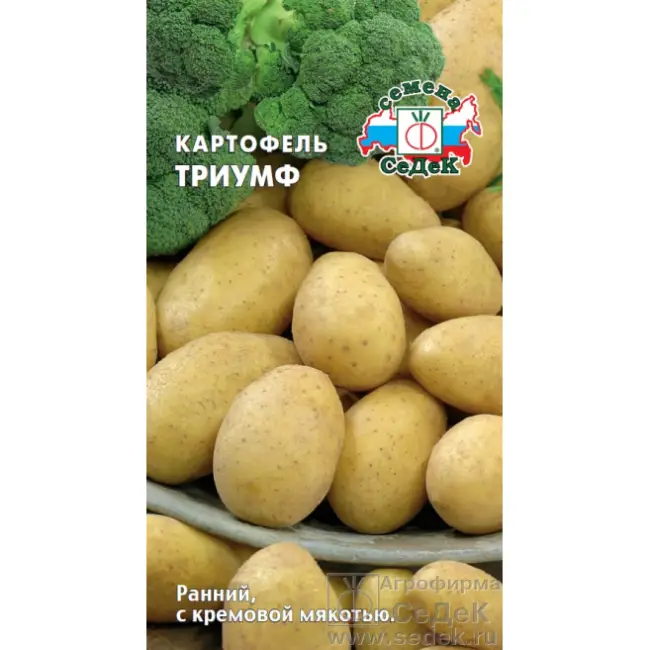 Картофель Триумф: описание сорта, фото семян Седек и отзывы об урожайности, характеристика, вкусовые качества и сроки созревания
