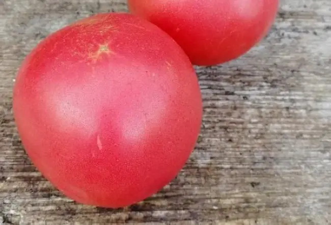 Сорт томата «Демидов»: описание и характеристика среднеспелых помидоров