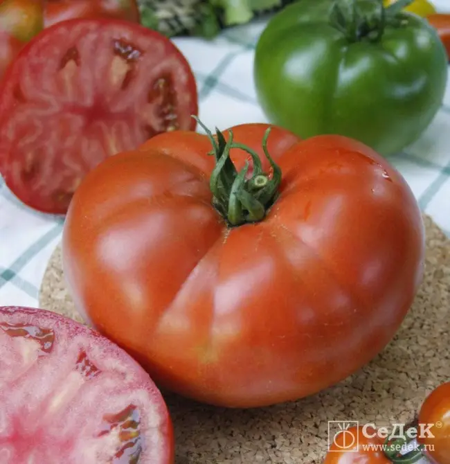 Томат Екатерина Великая F1: характеристика и описание сорта, отзывы об урожайности помидоров, видео и фото куста