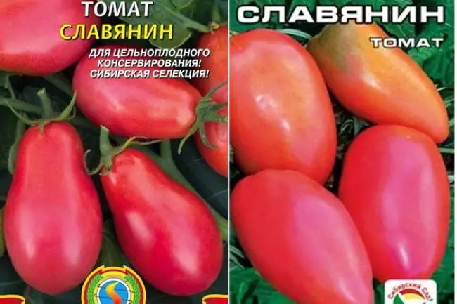 Томат Славянин: характеристика и описание сорта, урожайность с фото