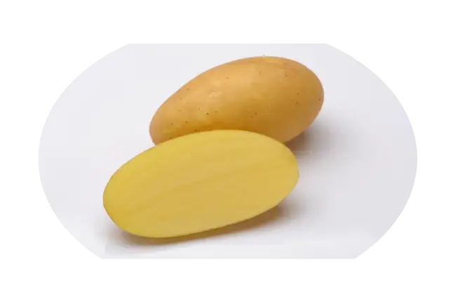 Картофель Каптива (Captiva) | Сорта картофеля