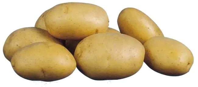 Рассмотрим все плюсы и минусы картофеля Платина, а также отзывы и фото семян. Вкусовые качества и сроки созревания плодов.