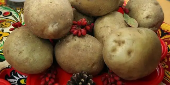 Какого ухода требует картофель Янтарь?