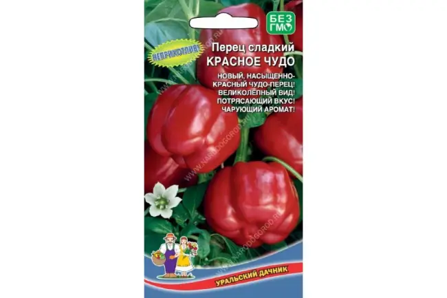 Перец красное чудо описание сорта – Достоинства: высокая урожайность, вкусный, красивый, устойчив к заболеваниям и хорошо перенес жару | Недостатки: нет