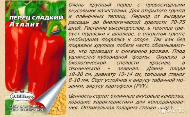 Сладкий перец Красный гигант — полезные советы по выращиванию