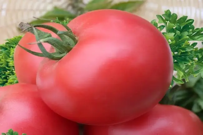 Описание сорта томата Барин, особенности выращивания и урожайность