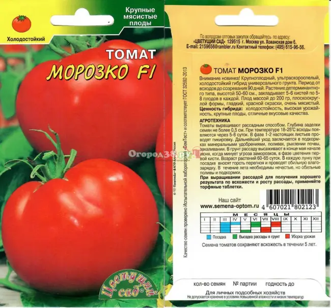 Стоит ли посадить на участке томат Морозко: все о плюсах и минусах сорта