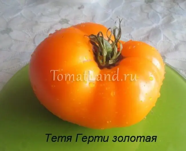 Томат тетя валя описание сорта – Сорт томатов Валентина, описание, характеристика и отзывы, а также особенности выращивания