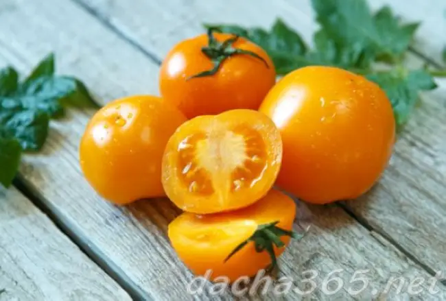 Описание сорта томата Желтый шар, особенности выращивания и ухода