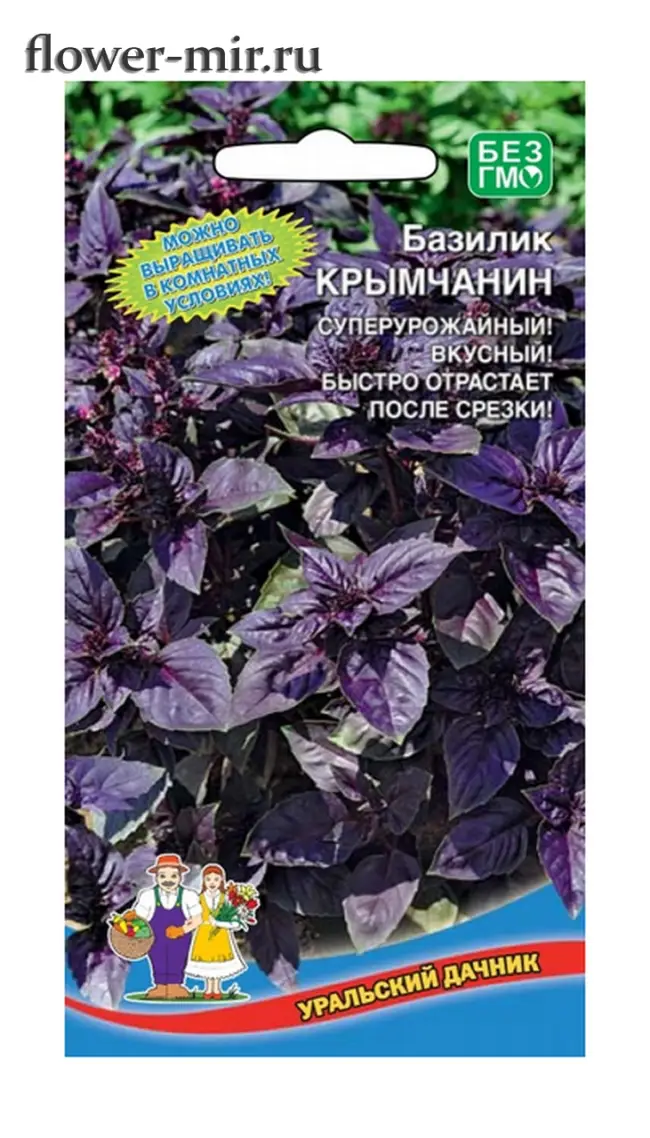 Базилик крымчанин описание сорта – Лучшие сорта зеленого и фиолетового базилика с фото
