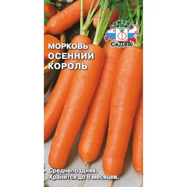Морковь Осенний король: описание и характеристика позднего сорта