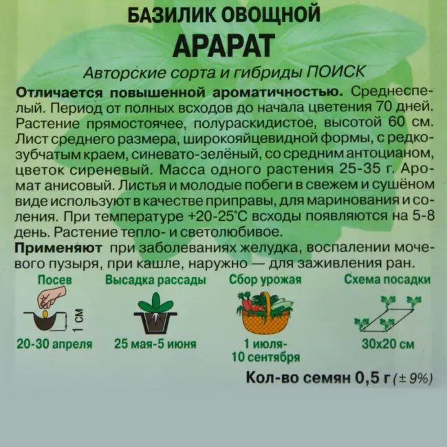 Отзыв о Семена базилика овощного Евро-семена “Карлик” | Отзыв и фото – базилик овощной “Карлик” Евро-семена