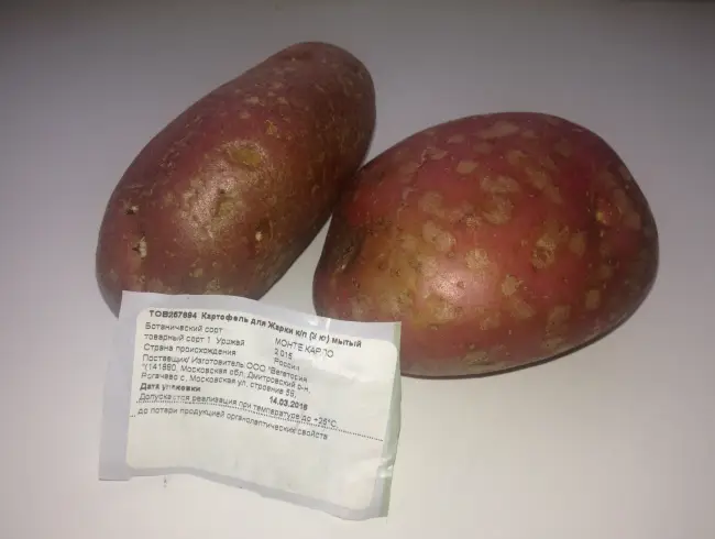 Картофель Забава Solanum tuberosum L. Включен в Госреестр по Центральному 3 региону. Раннеспелый, столового назначения. Растение высокое, листового типа, полупрямостоячее. Лист среднего размера, зеленый. Интенсивность антоциановой окраски внутренней ..