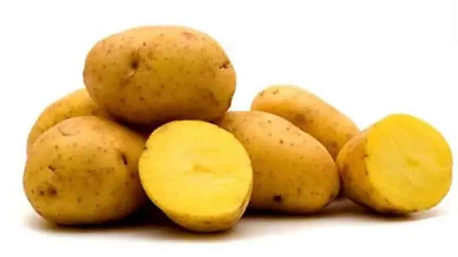 Сорт картофеля Нандина (Nandina) — технология посадки и ухода