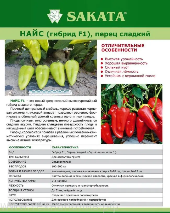 Перец бело уво описание сорта – Самые урожайные сорта болгарского перца: рейтинг лучших сортов на 2022 год