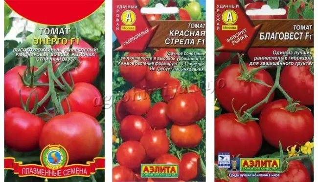 Томат “Красная стрела F1”: характеристика и описание томатного гибрида с фото, отзывы об урожайности