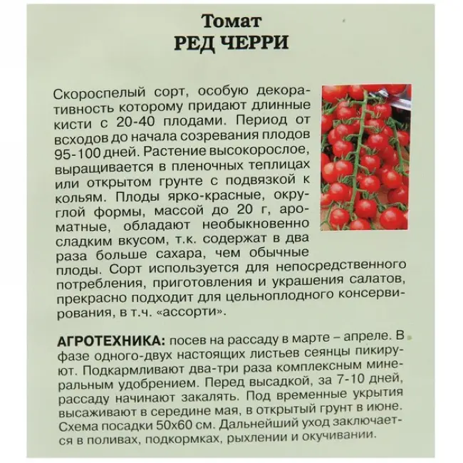 Томат Черри оливка: описание сорта, фото и отзывы о семенах Сибирский сад, характеристика помидоров