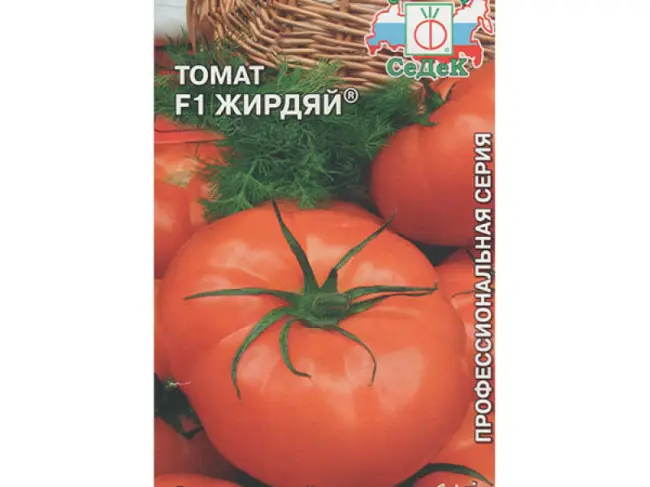 Томат Рубинчик F1: характеристика и описание сорта, урожайность с фото